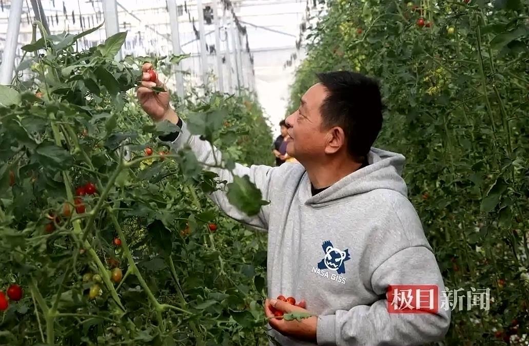 “番茄公社”数字农场获省级零碳农业园区认证背后有“田小二”撑腰(图3)