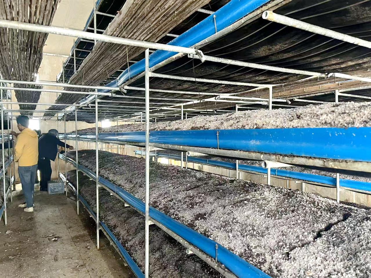 微信图片_20251013154117_168_416.jpg 微信图片_20251013154117_168_416.jpg