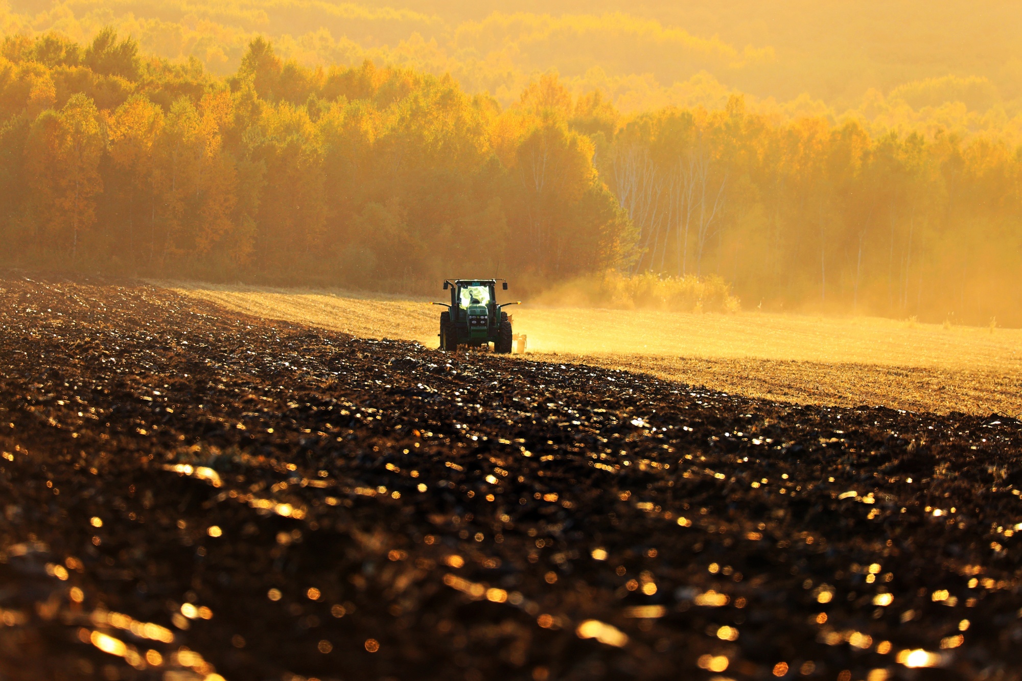 黑土地四季·秋收 | 极目新闻
