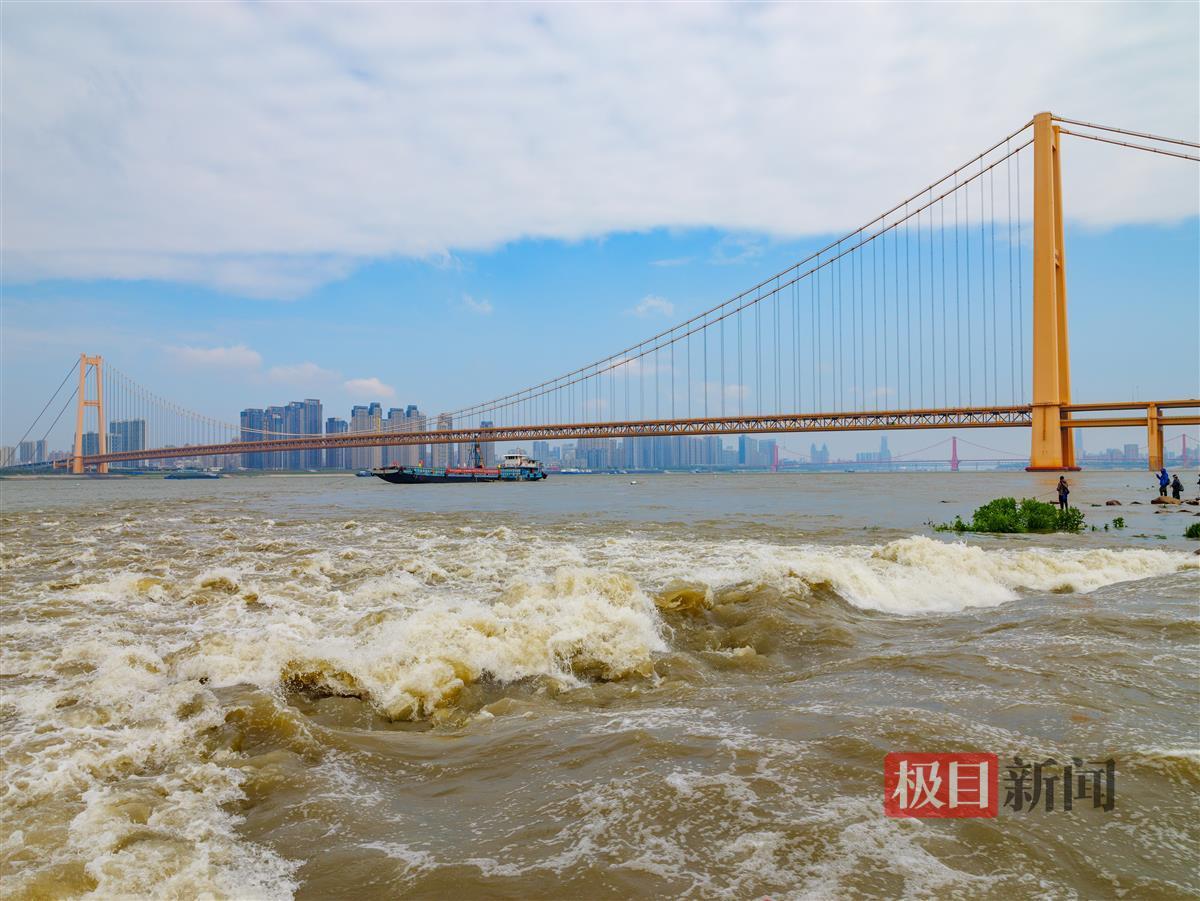 长江武汉段水位稳步回升 | 极目新闻