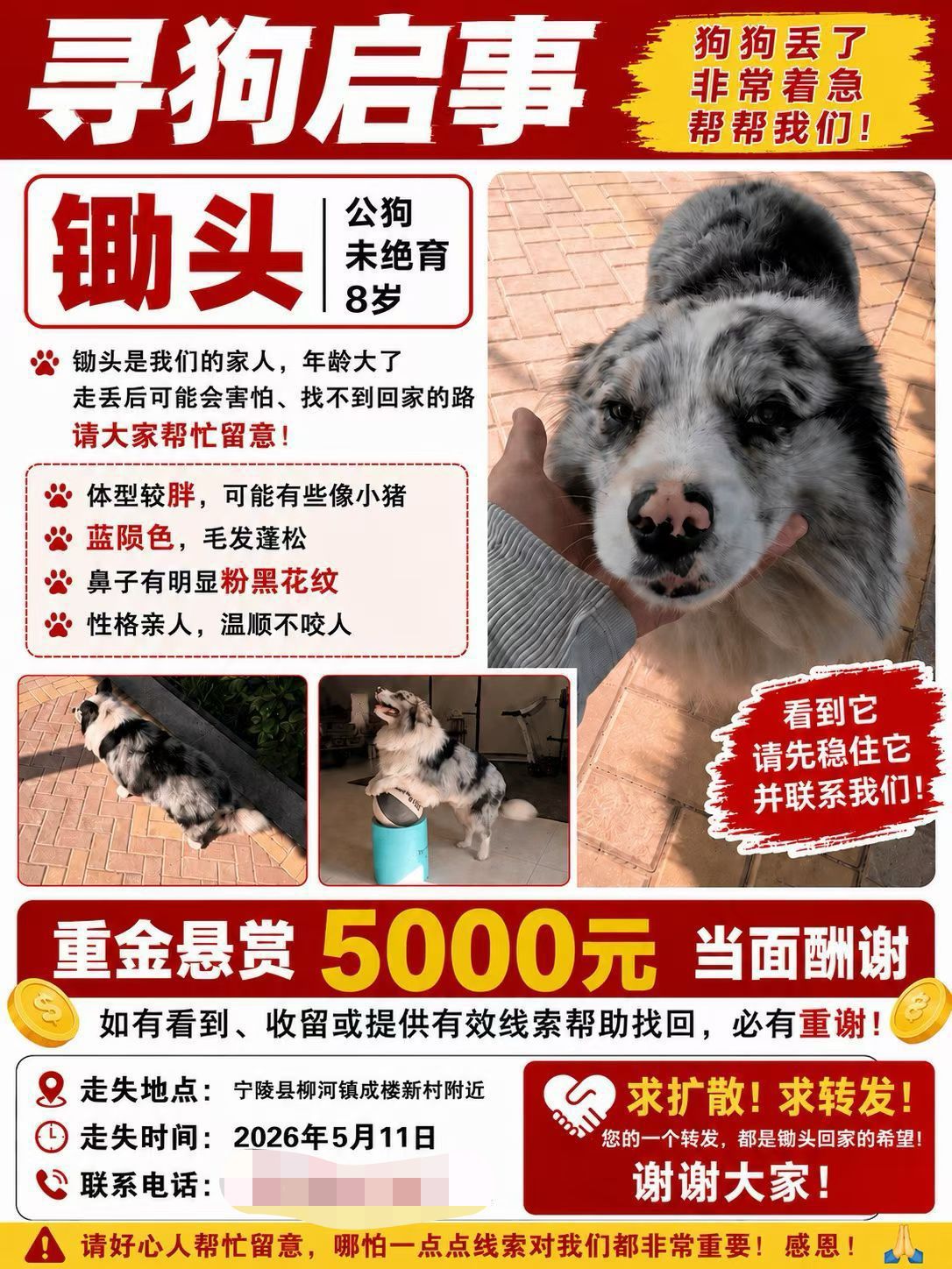qq_pic_merged_1779977769873..jpg