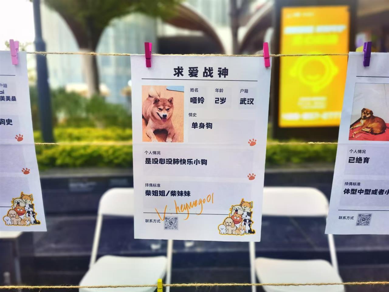 求爱战神.jpg 求爱战神.jpg