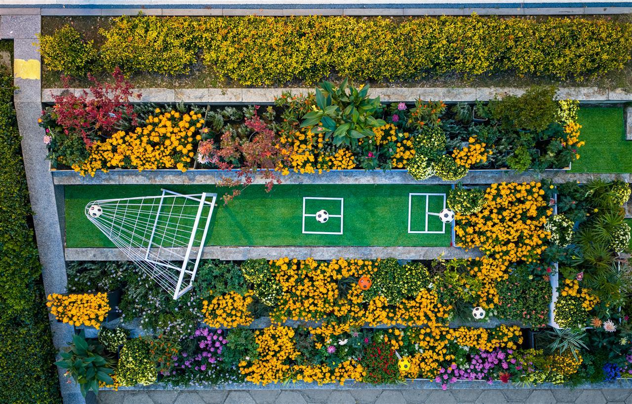 小小足球为菊展花廊添灵动光芒.jpg