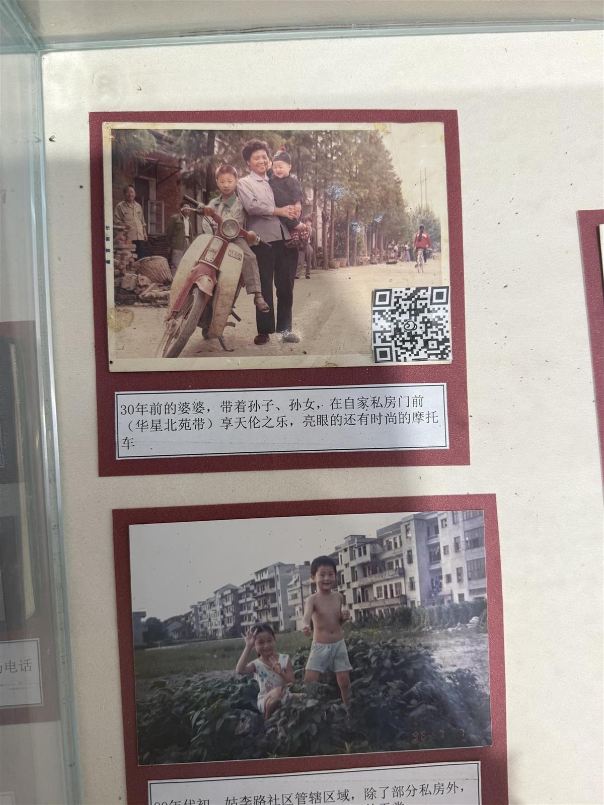 IMG_1786.JPG IMG_1786.JPG