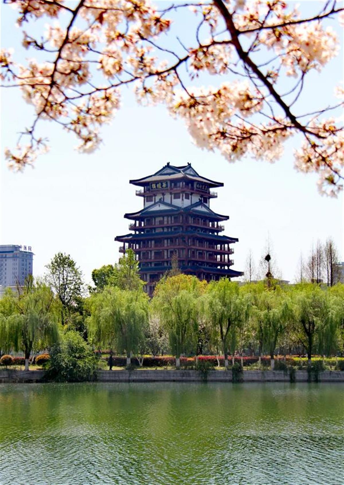 微信图片_20250327170133.jpg 微信图片_20250327170133.jpg