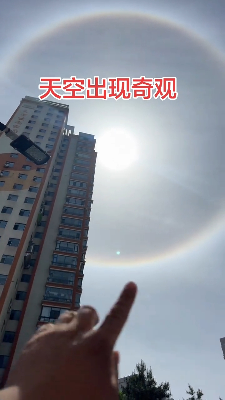 微信图片_20260526095958_67_42.jpg