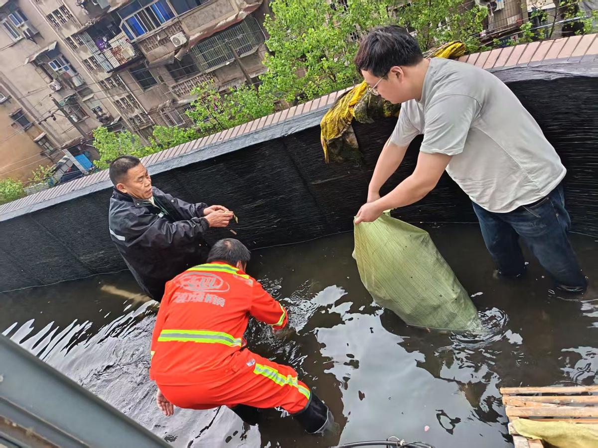 85e802b7b3e79e56b943f632dac2f370.jpg 85e802b7b3e79e56b943f632dac2f370.jpg