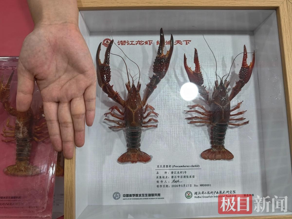 微信图片_20260517160815_583_5.jpg
