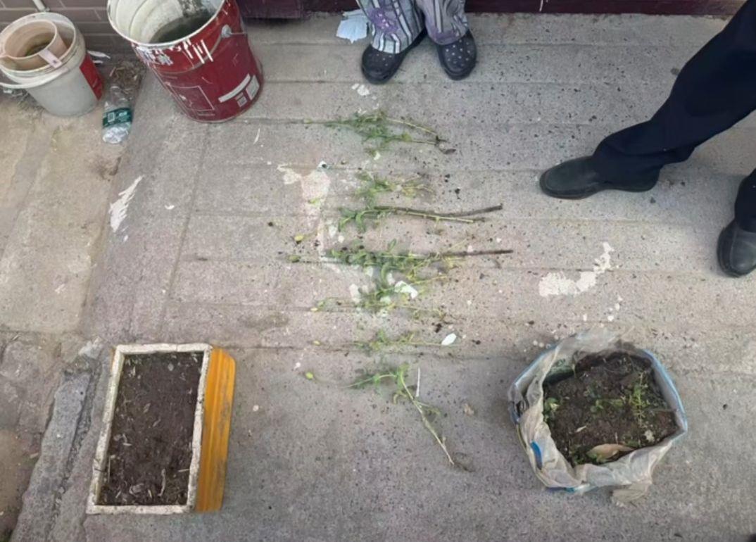 qq_pic_merged_1751366145761.jpg qq_pic_merged_1751366145761.jpg