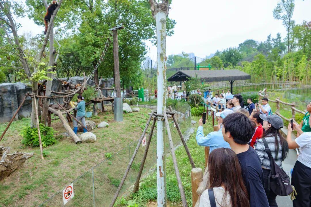 1、武汉动物园游园火热.jpg