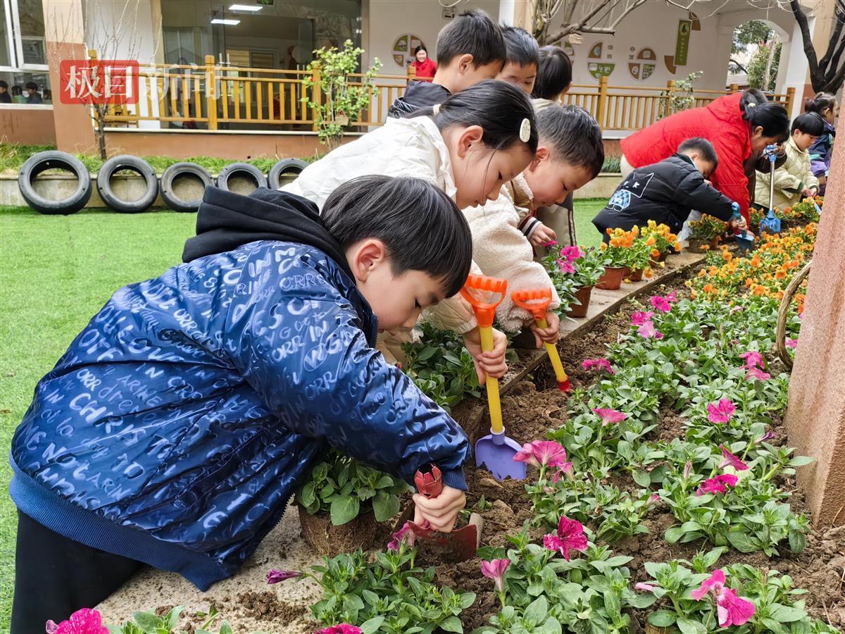 大班幼儿种植鲜花.jpg
