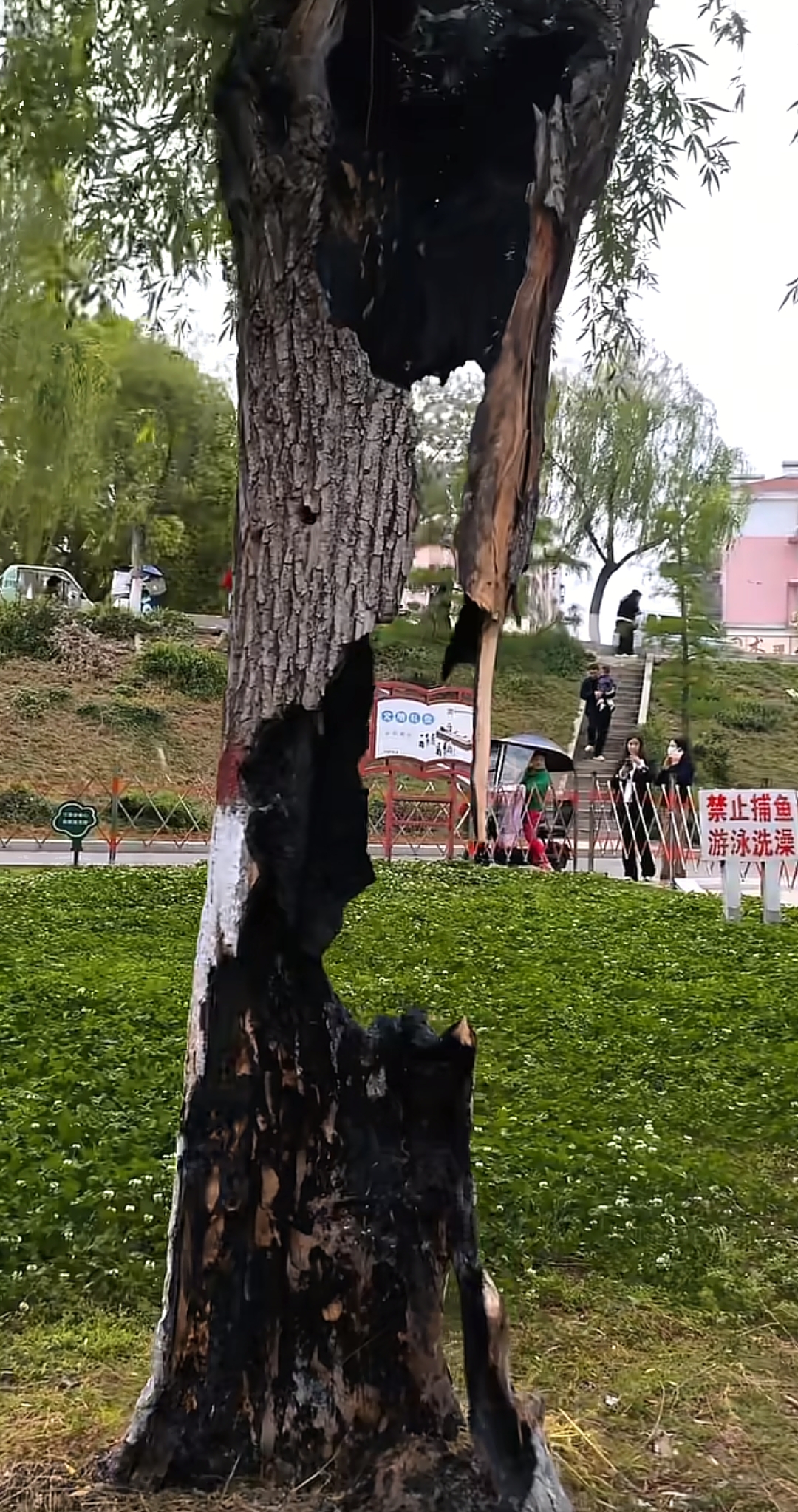 微信图片_20260501124946_672_408.jpg