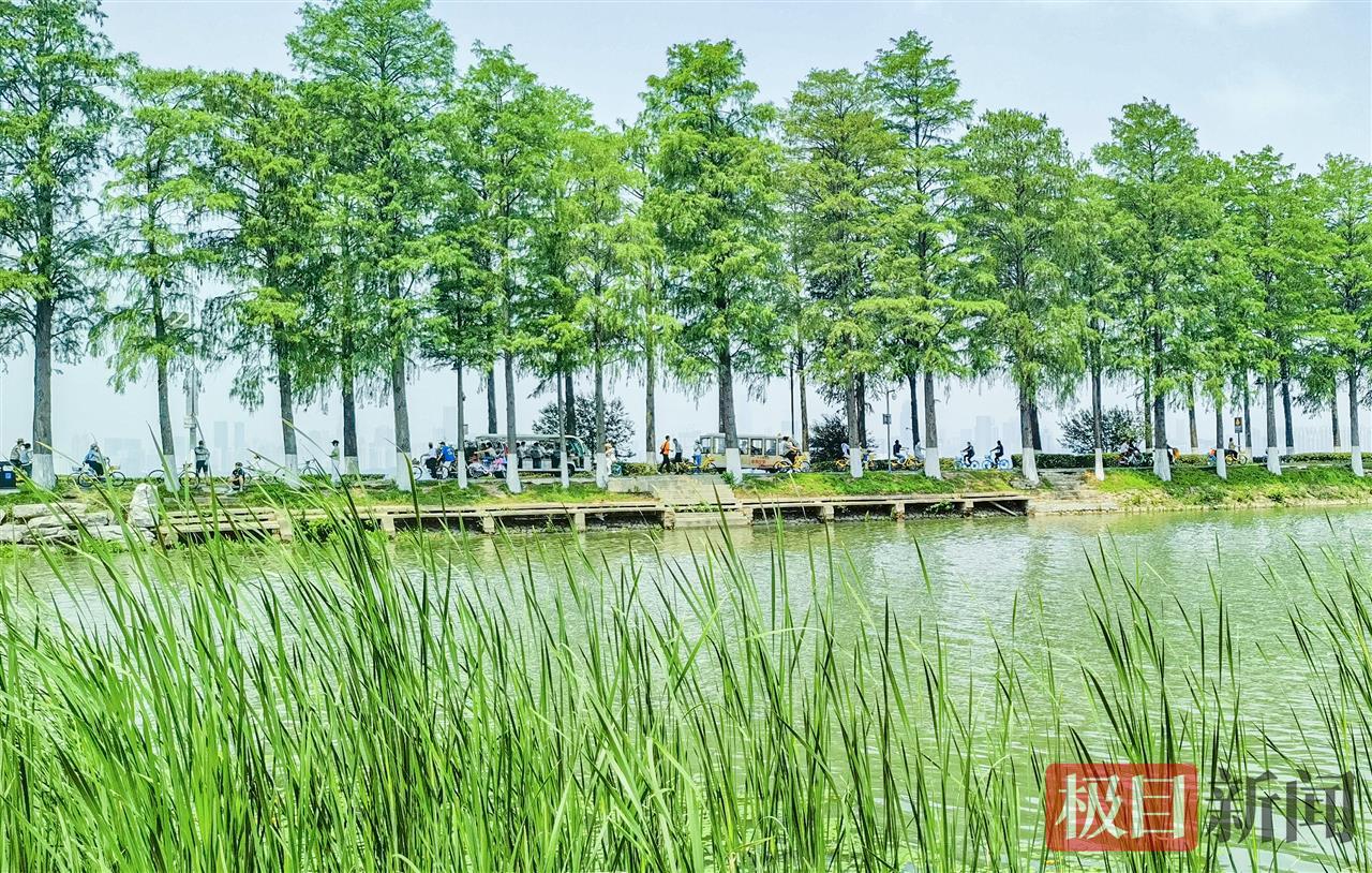 周末，武漢初夏的舒適感回來了！