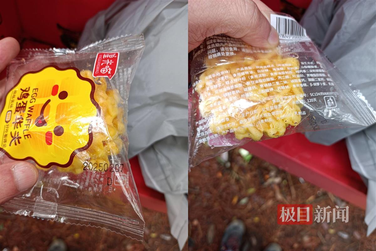8岁男孩失踪地附近有应急存储柜，柜内存有华夫饼和保温毯等物资