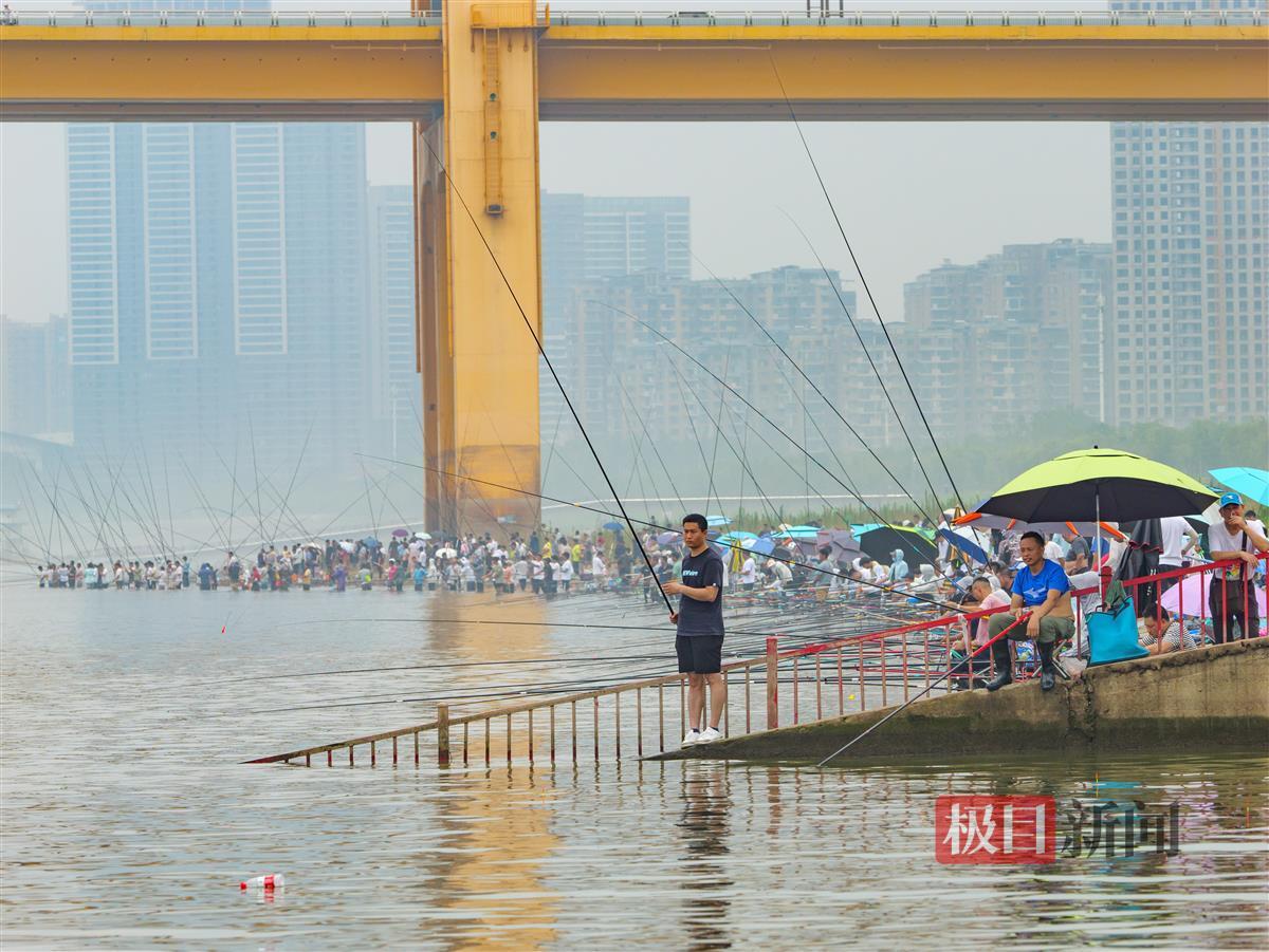 杨泗港长江大桥南岸钓客扎堆,延绵近1公里 