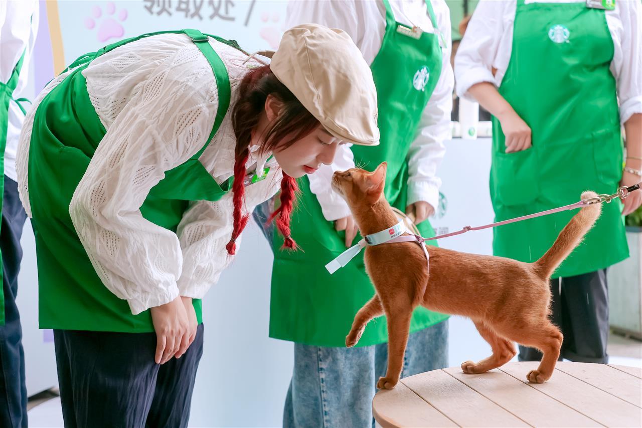 微信图片_2025-10-30_120633_906.jpg 微信图片_2025-10-30_120633_906.jpg