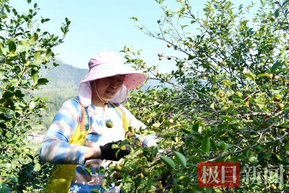 2F136E77569DD58885D1669A0F926784.jpg 2F136E77569DD58885D1669A0F926784.jpg