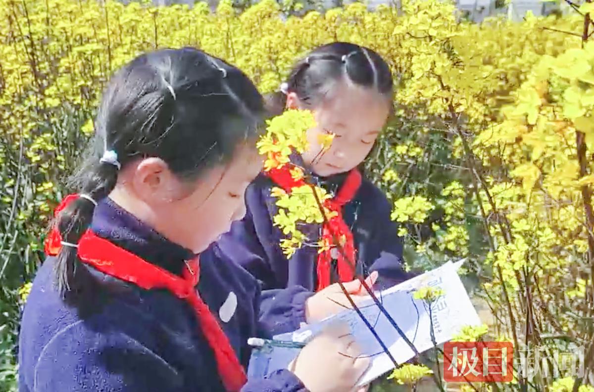 截屏2026-03-20 下午11.39.21.png