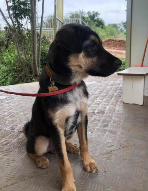 ScreenShot_2026-02-04_160409_012.png ScreenShot_2026-02-04_160409_012.png