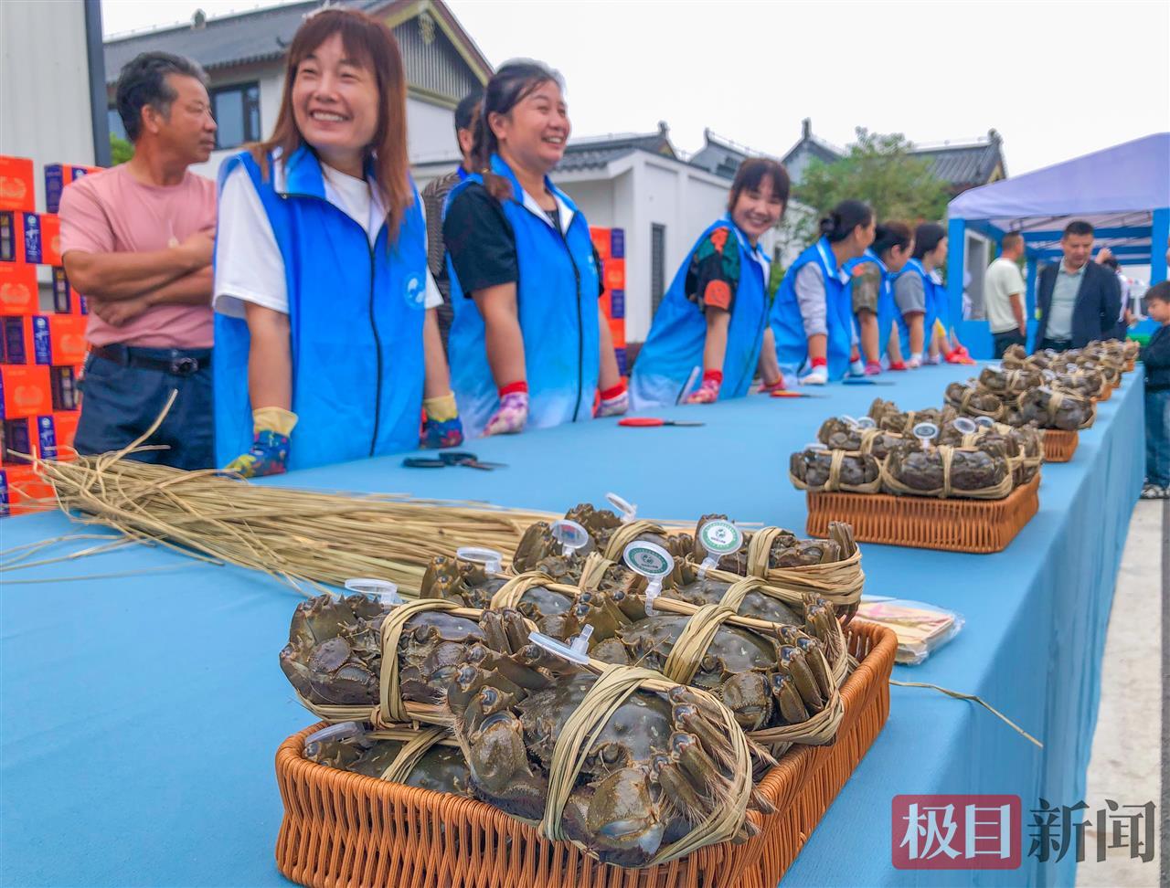 10月8日，“生态公安·蟹耀未来”湖北·公安2025陆逊湖大闸蟹品牌推介会现场展示的陆逊湖大闸蟹（极目新闻记者 黄志刚 摄）.jpg