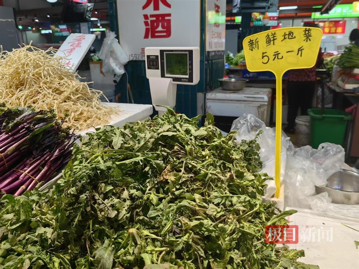 f7aa3a50eee5a605013ae2b3be5a350c_pub_cb2025022415175064918499tf.jpg f7aa3a50eee5a605013ae2b3be5a350c_pub_cb2025022415175064918499tf.jpg