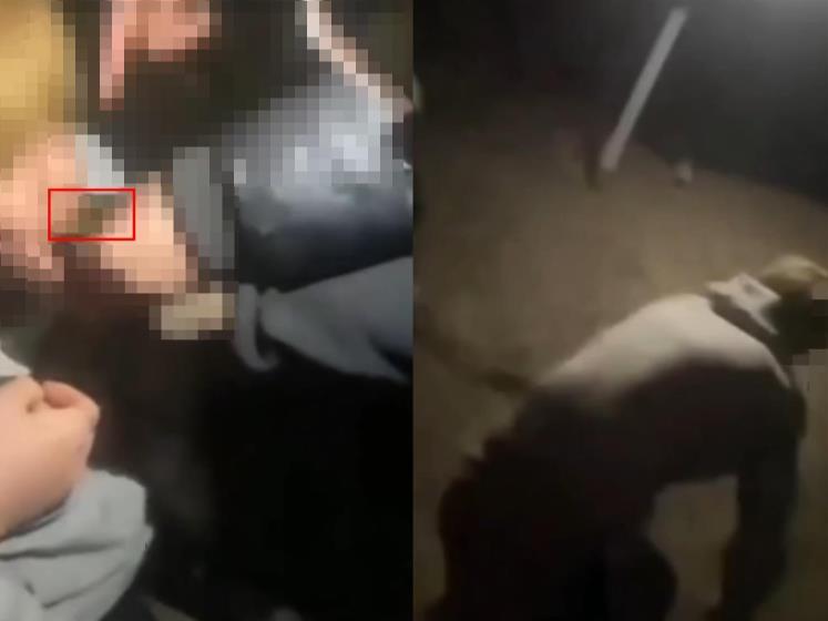 QQ20250813-154423.png QQ20250813-154423.png