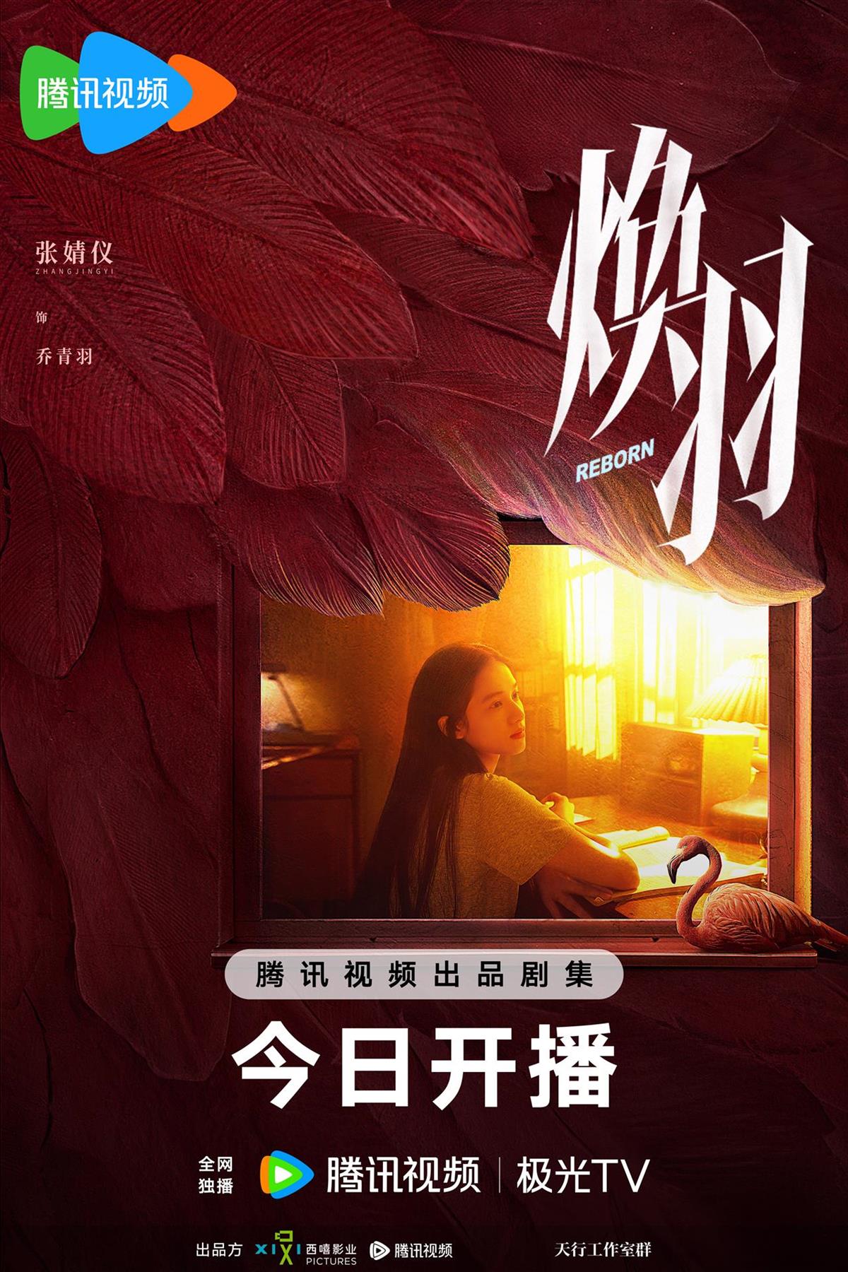 《藏海传》之后，张婧仪新剧来了，《焕羽》今晚开播