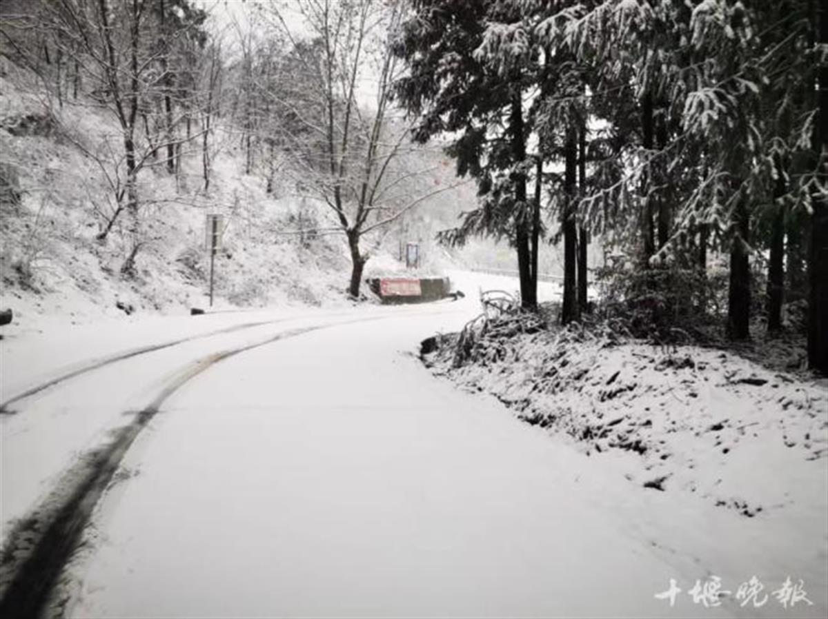 Screenshot_20250303_153426_com.tencent.mm_edit_15.jpg Screenshot_20250303_153426_com.tencent.mm_edit_15.jpg