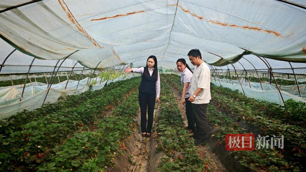 图片1.png 图片1.png