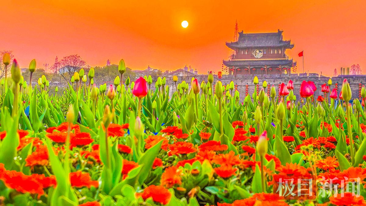 花满古城(段昌林 摄).jpg 花满古城(段昌林 摄).jpg