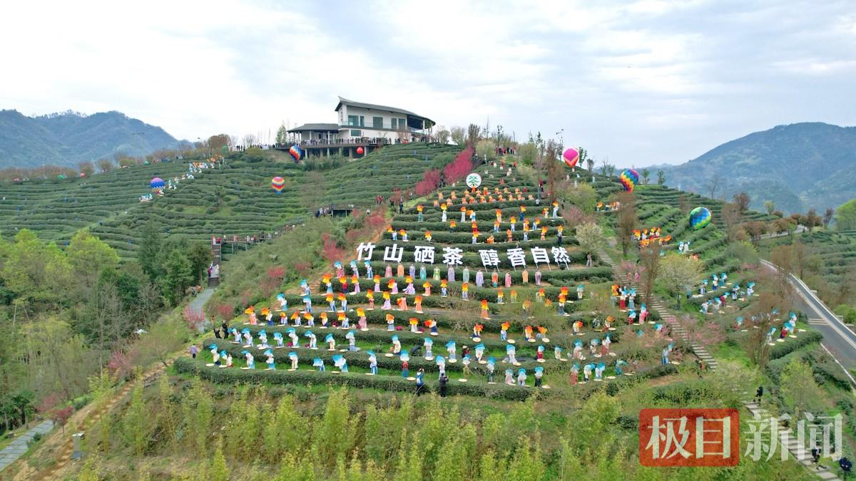 竹山县刘家山春茶开采.jpg 竹山县刘家山春茶开采.jpg