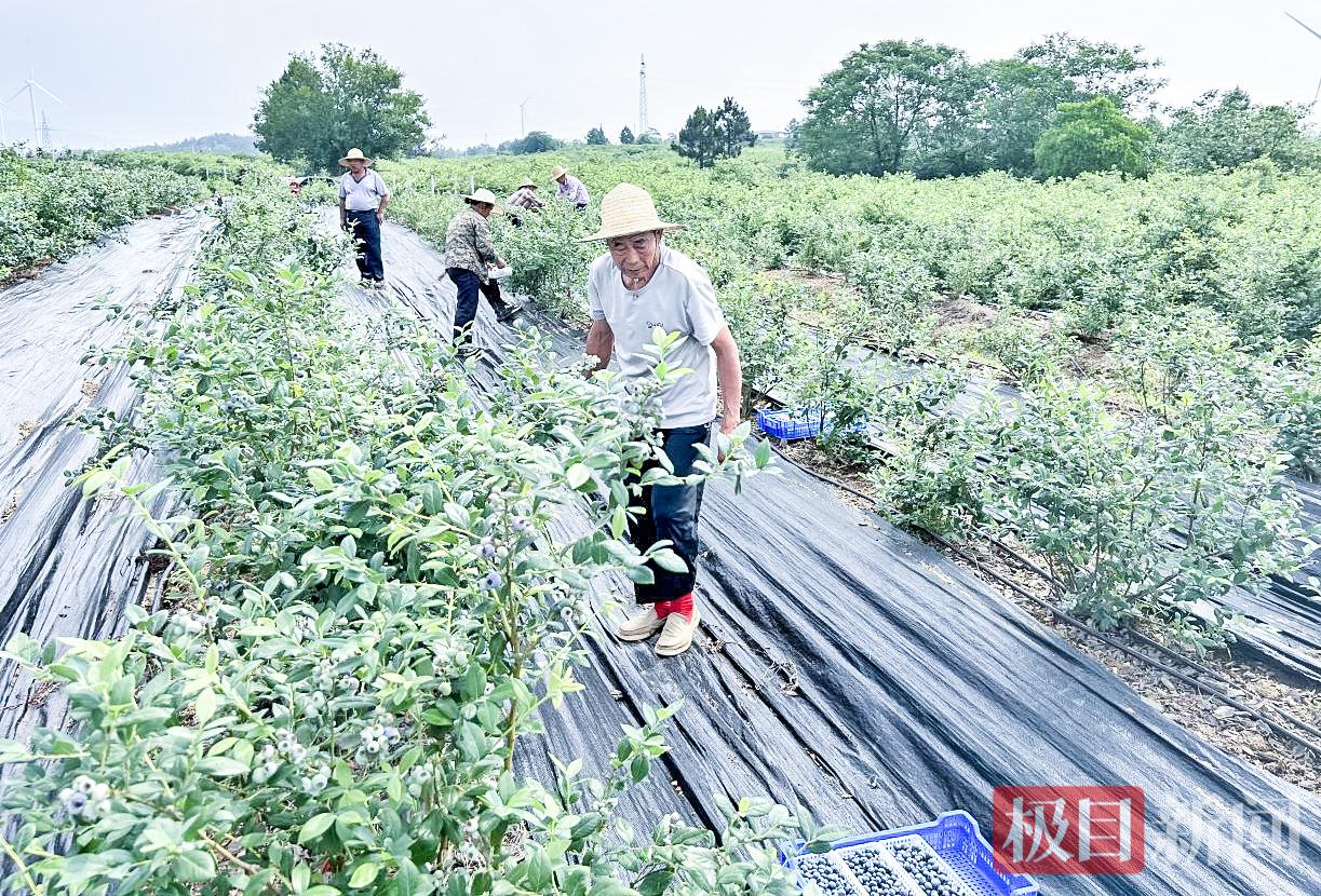 图片8.jpg 图片8.jpg