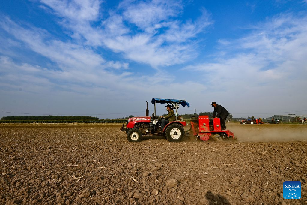 Farmers across China busy with autumn harvest, sowing | 极目新闻
