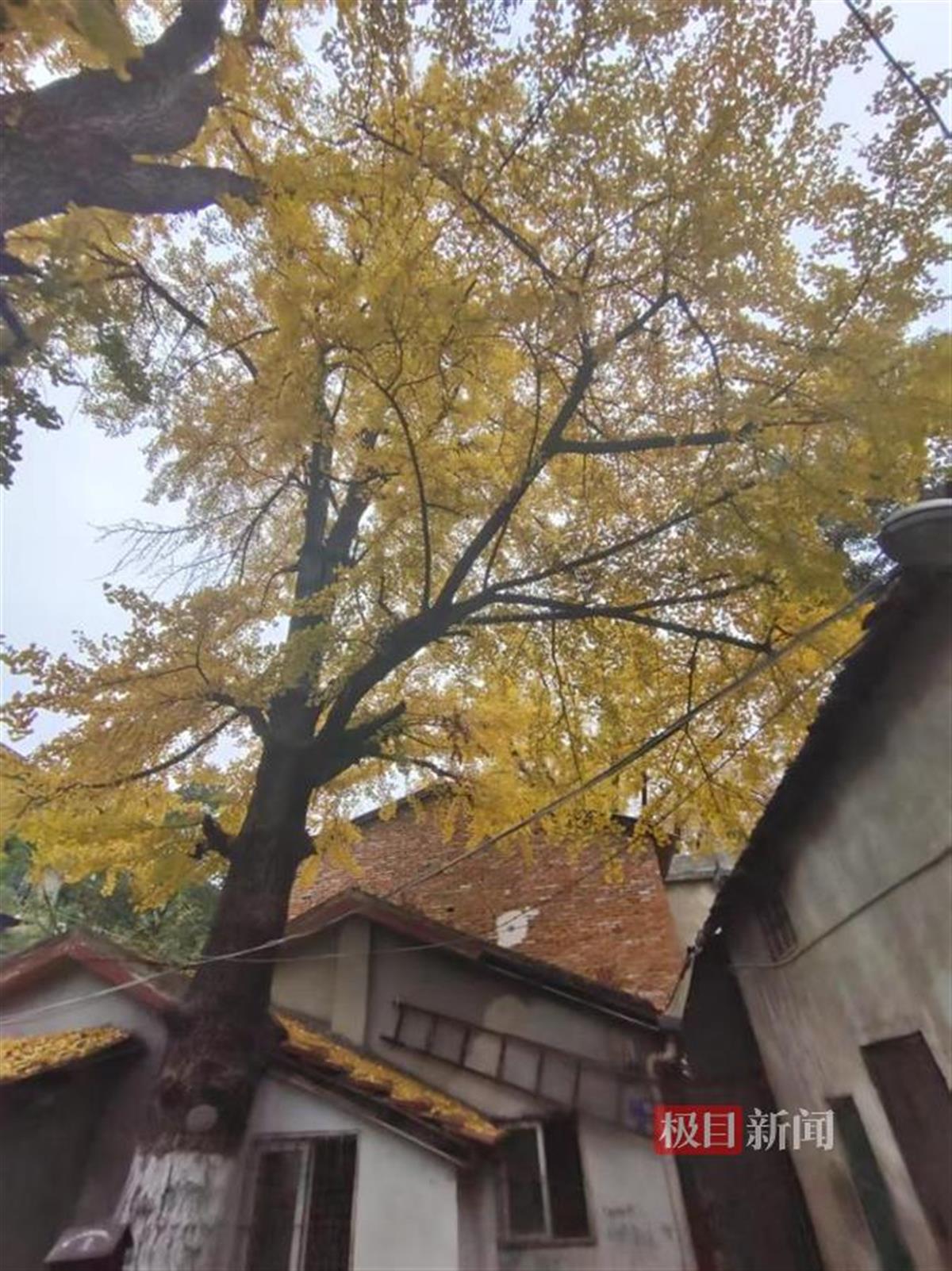 图片 16.png