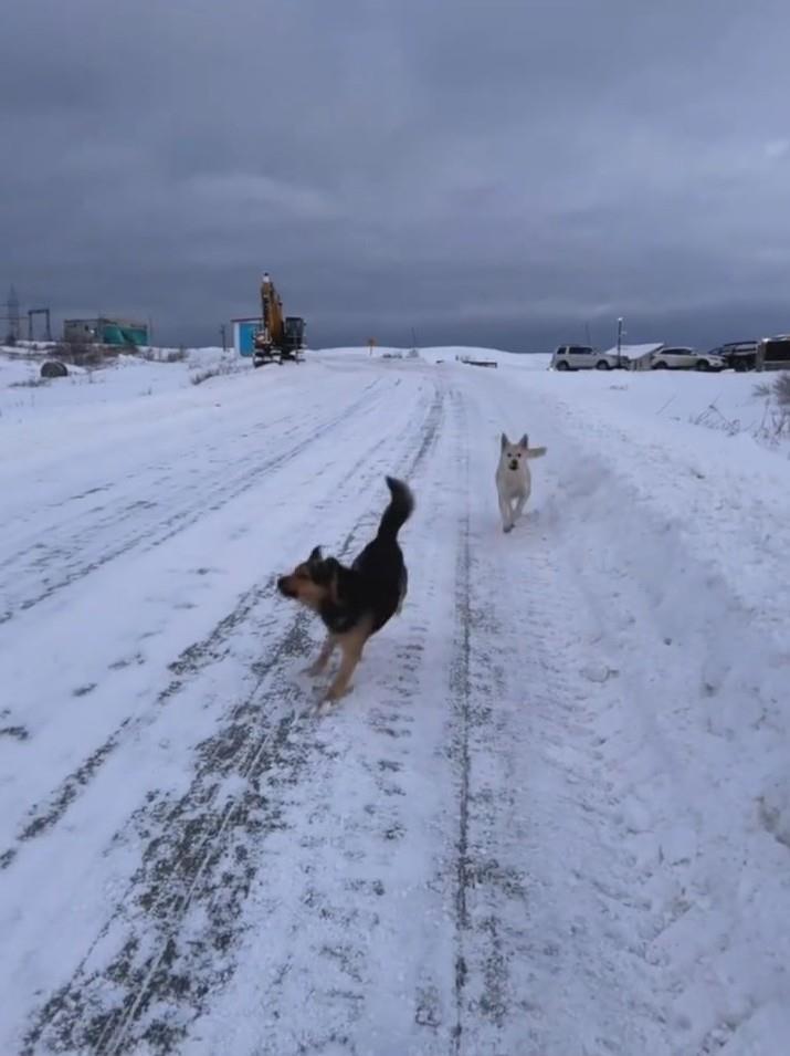 俄罗斯免签政策首批中国游客遭遇网络静默期,携带现金应对支付挑战