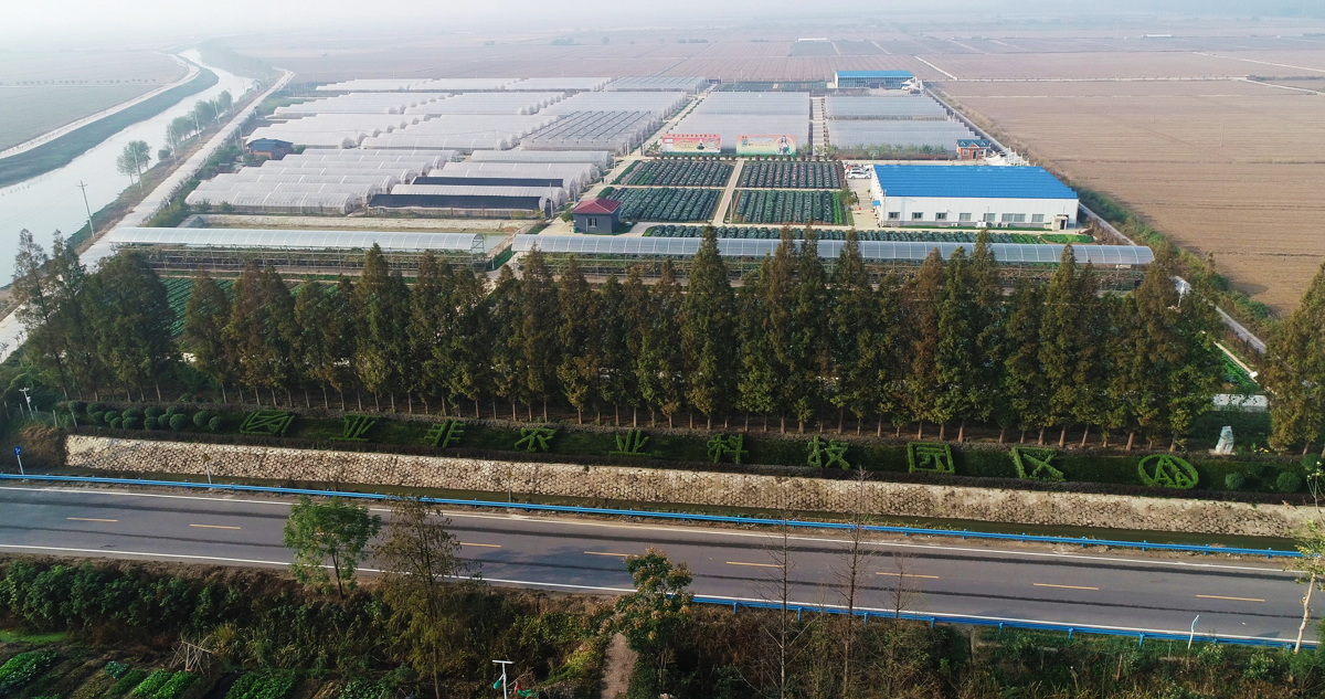 武汉亚非农业科技园区基地.jpg
