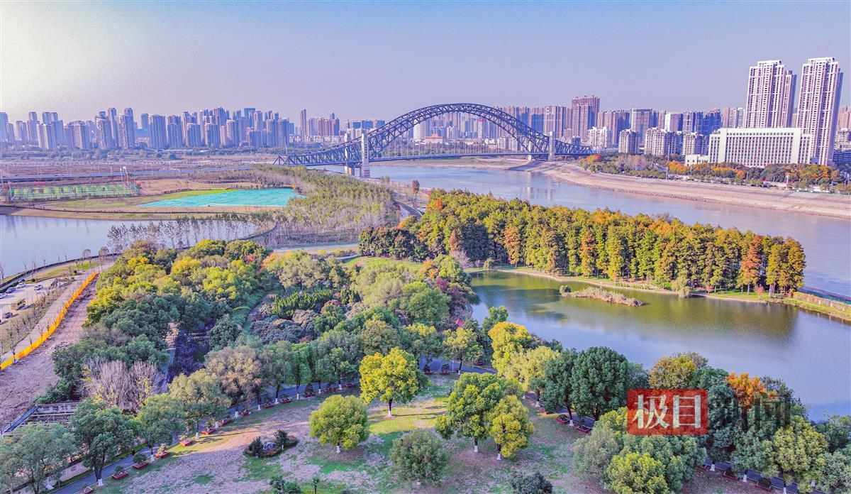 初冬的武汉汉江湾色彩斑斓 | 极目新闻
