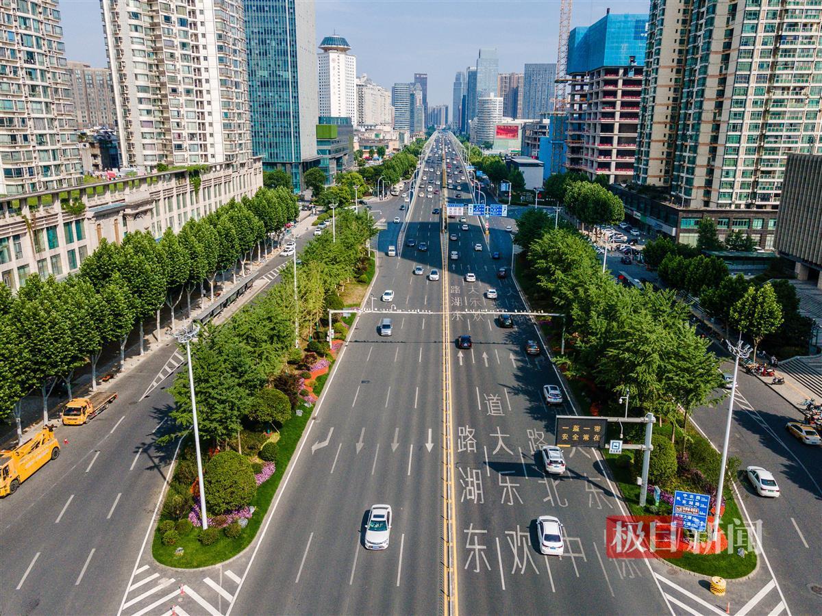 武昌城管独具匠心,徐东大街花景大道炎炎夏日惊艳亮相 | 极目新闻