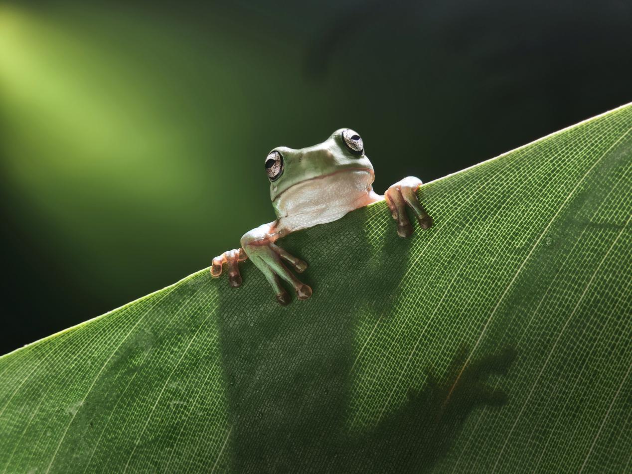 图片17.png 图片17.png