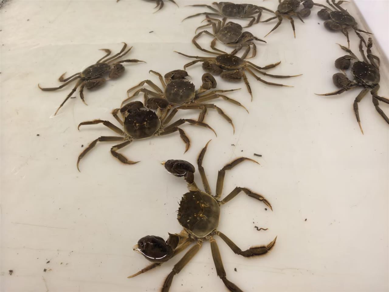 BF6D3ABAF7D52E41B0E59689D515684D.jpg BF6D3ABAF7D52E41B0E59689D515684D.jpg