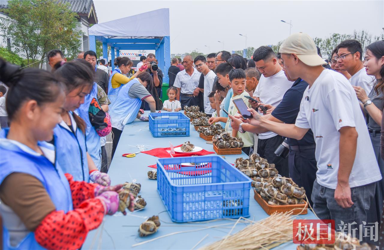 10月8日，“生态公安·蟹耀未来”湖北·公安2025陆逊湖大闸蟹品牌推介会现场，与会人员在观赏陆逊湖大闸蟹（极目新闻记者 黄志刚 摄）.jpg