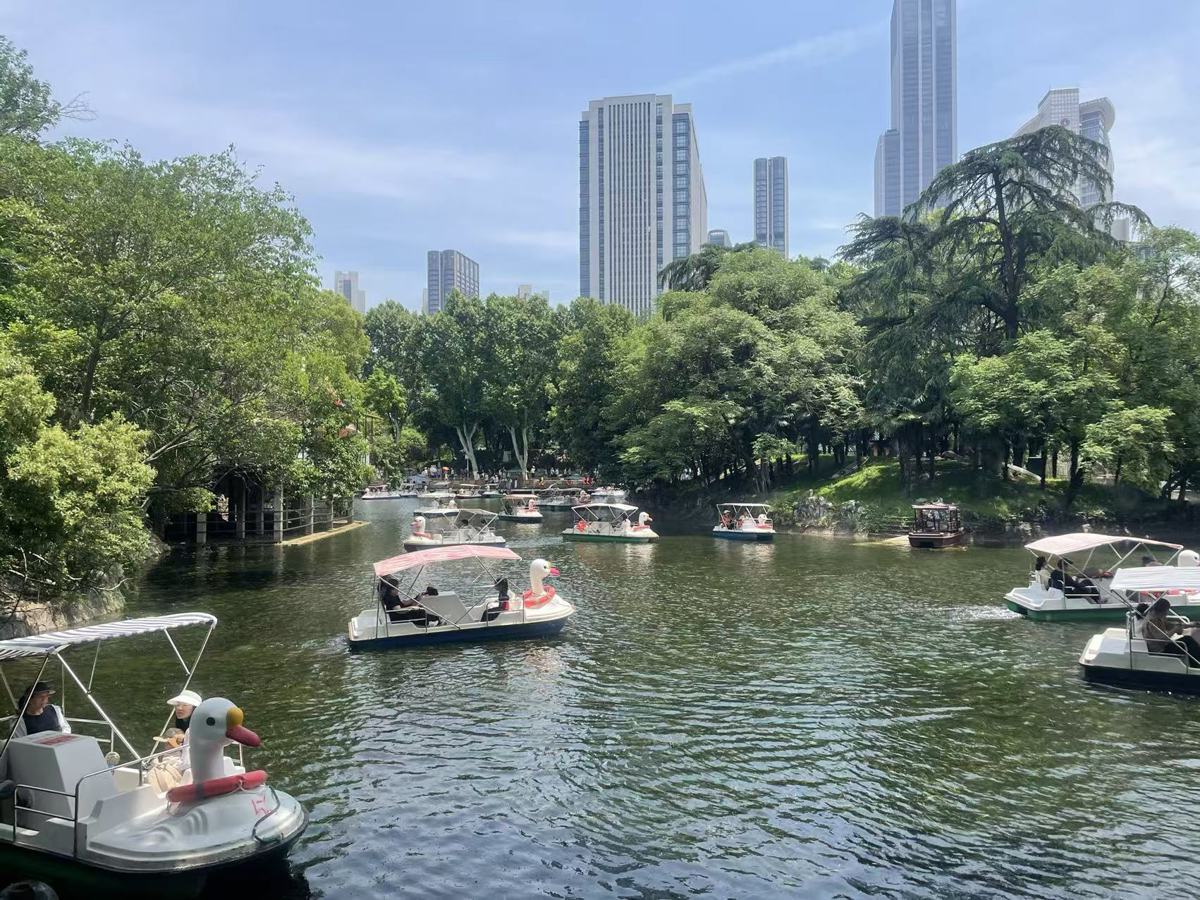 武汉终于有了夏天的的模样.jpg
