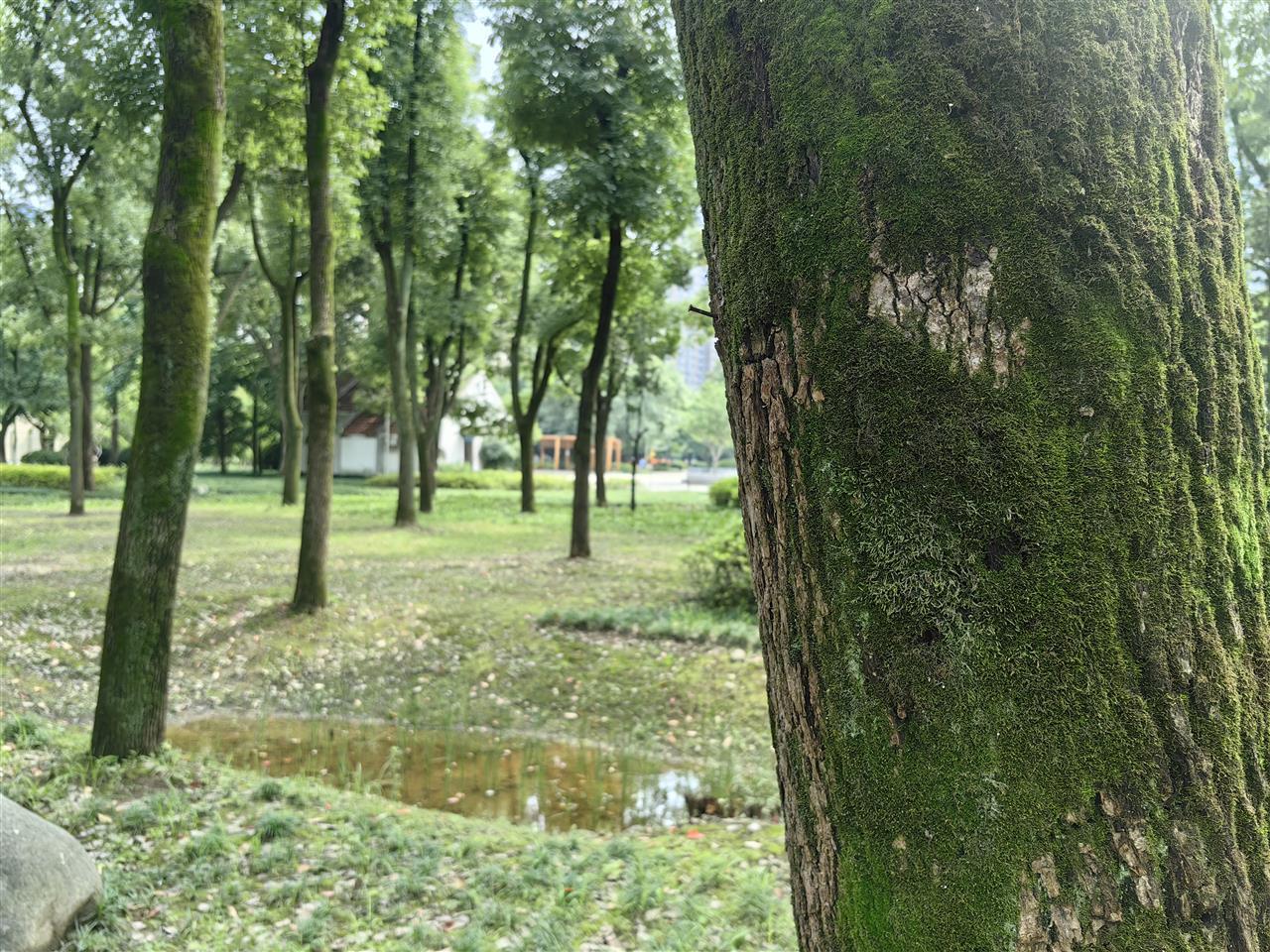 d27f15ffe8c90a9454c2bbf6471f235.jpg d27f15ffe8c90a9454c2bbf6471f235.jpg