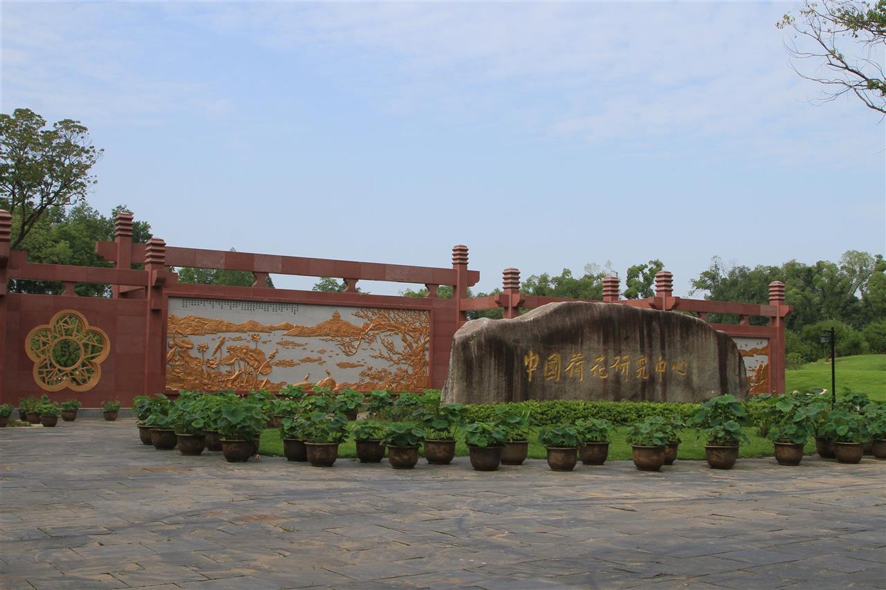 1846a7707b3f2a2724144a45253943ce_pub_cb202506051637498184829vwp.jpg 1846a7707b3f2a2724144a45253943ce_pub_cb202506051637498184829vwp.jpg