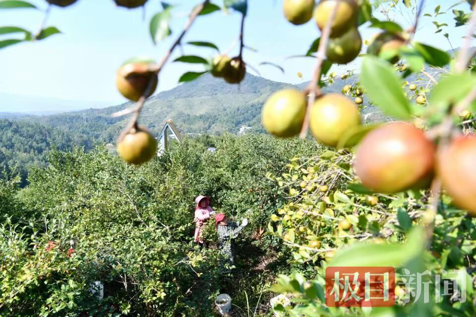 B8667C44207E5B0A05A488405397012C.jpg B8667C44207E5B0A05A488405397012C.jpg