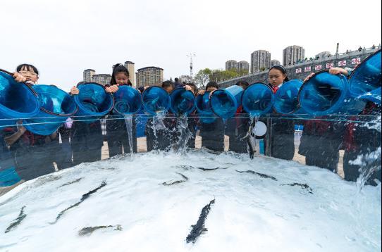 ▲3月28日，湖北宜昌胭脂园中华鲟增殖放流现场，来自宜昌市伍家岗区实验中小学的小志愿者们参与转运子三代中华鲟。摄影：汤伟.png