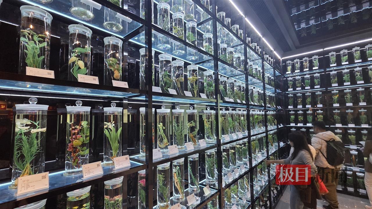 1764405494938_100.JPG 1764405494938_100.JPG