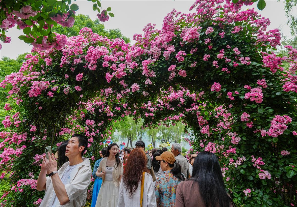 10、世界花园大会：市民迷恋月季园的五彩世界.jpg