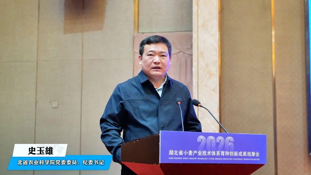 图片16.png 图片16.png