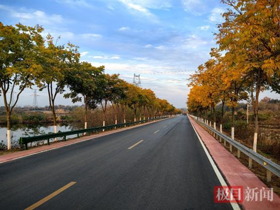 WechatIMG292.jpg WechatIMG292.jpg